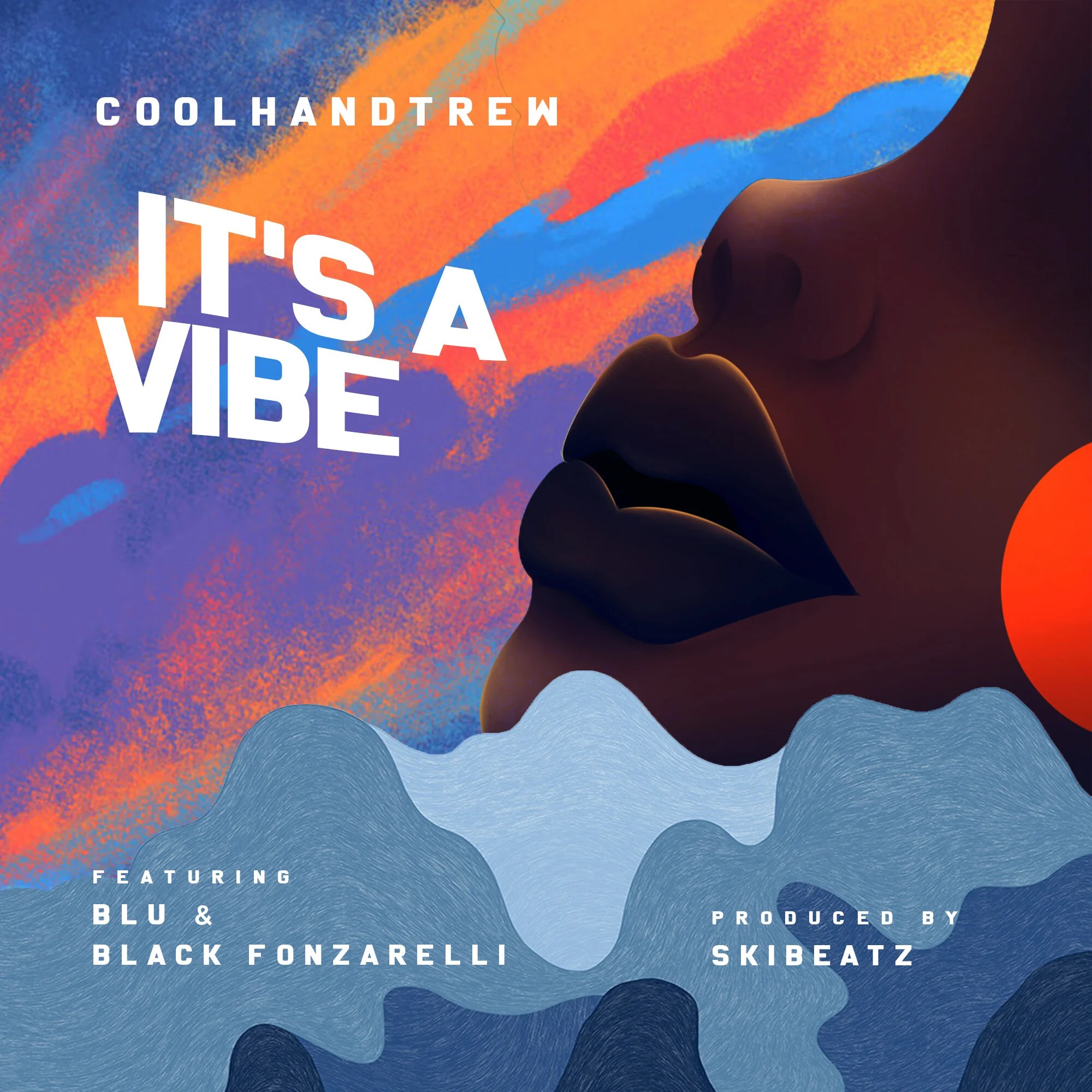 It's a Vibe album cover design