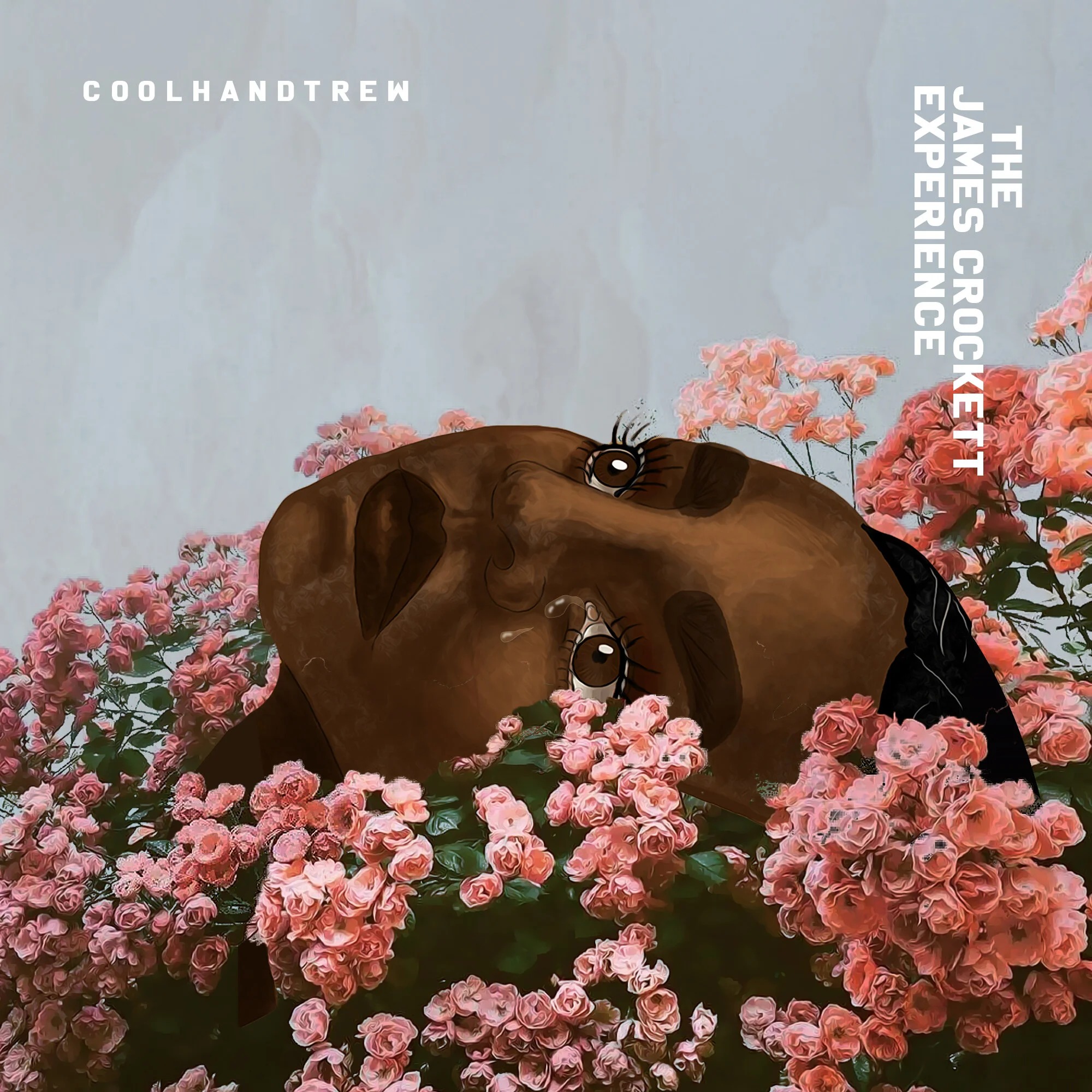 The James Crockett Experience album cover design